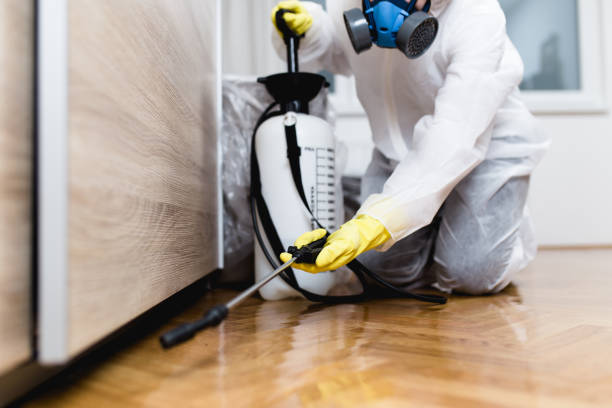Best Spider Control Near Me  in Santa Clarita, CA