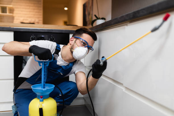 Best Termite Control Services  in Santa Clarita, CA