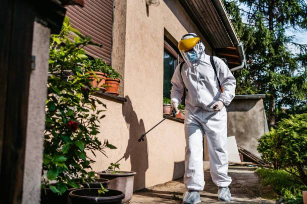 Professional Pest Control in Santa Clarita, CA