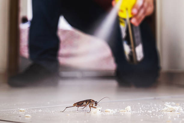  Santa Clarita, CA Pest Control Pros