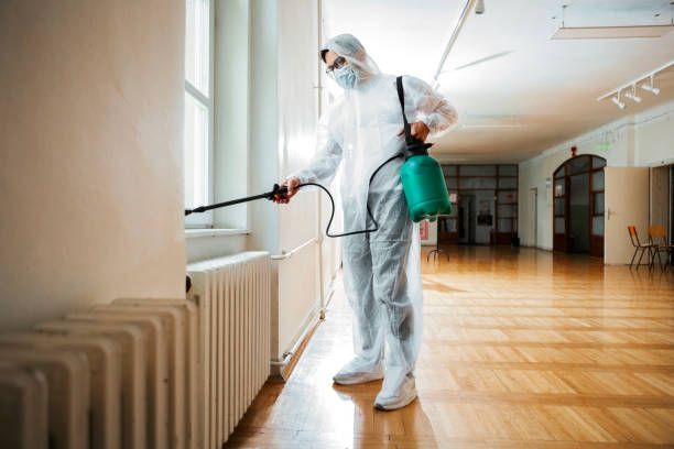 Best Mosquito Control Services  in Santa Clarita, CA