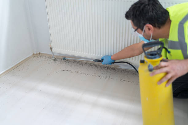 Best Pest Prevention Services  in Santa Clarita, CA